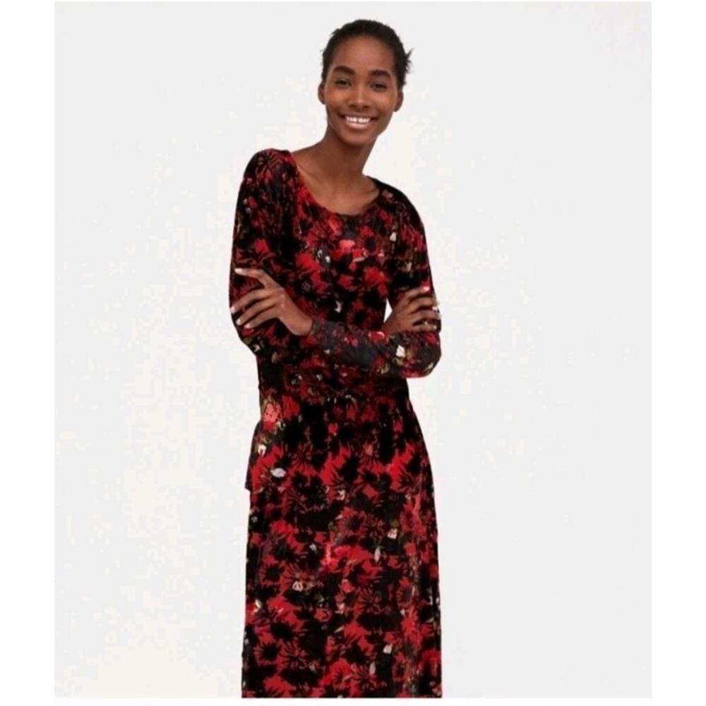Zara Women's Black Red Burnout Floral Velvet Maxi Dress Medium